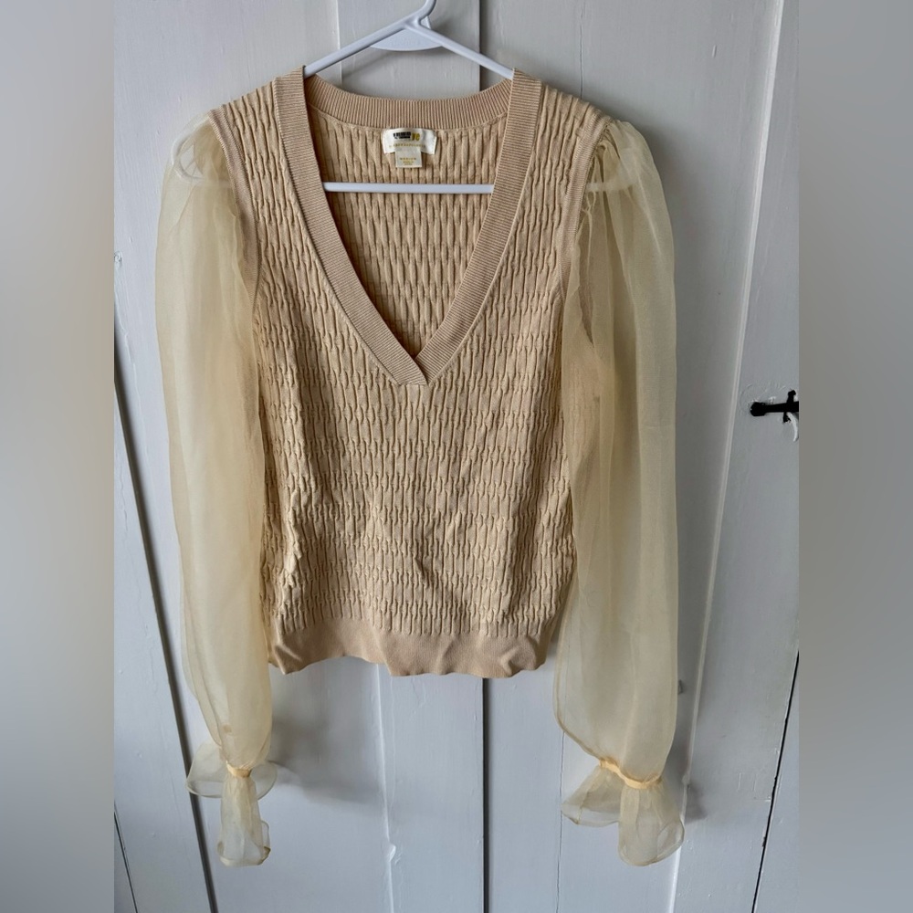 Maeve Anthropologie Long Sheer Sleeve Top